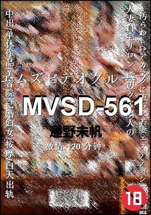 MVSD-561Ѹ