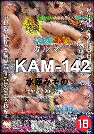 KAM-142Ѹ