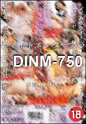 DINM-750Ѹ