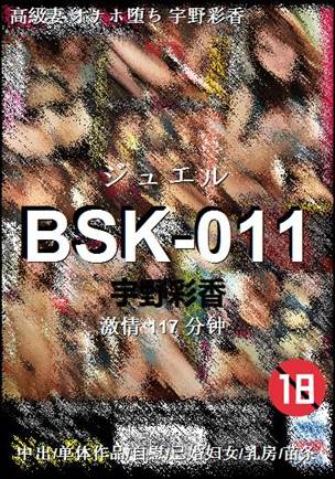 BSK-011Ѹ