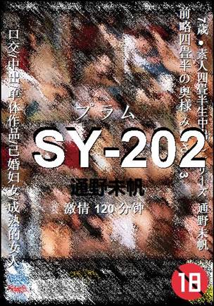 SY-202Ѹ
