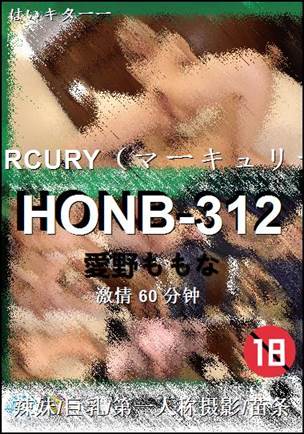 HONB-312BT