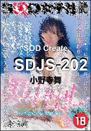 SDJS-202Ѹ