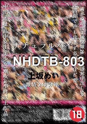 NHDTB-803BT