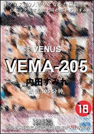 VEMA-205BT