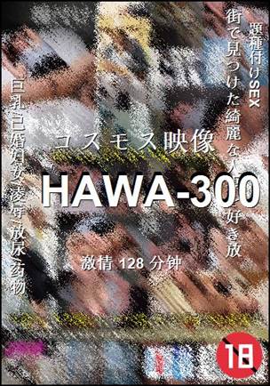 HAWA-300BT