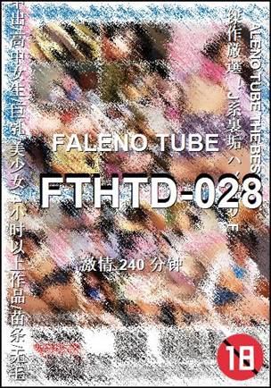 FTHTD-028Ѹ