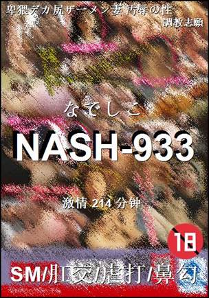 NASH-933Ѹ
