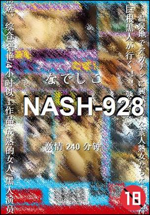 NASH-928Ѹ
