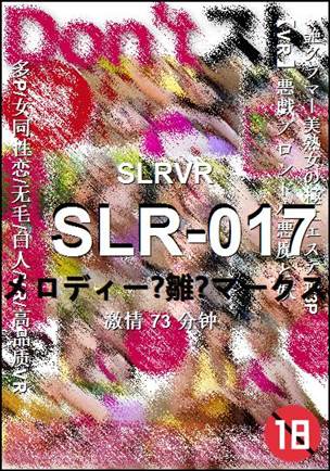 SLR-017Ѹ
