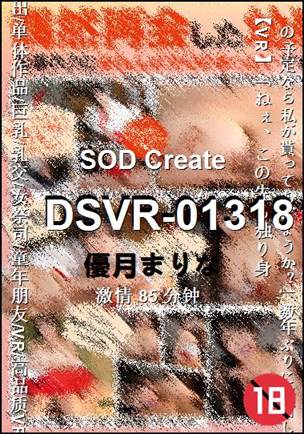 DSVR-01318Ѹ
