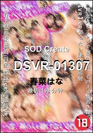 DSVR-01307Ѹ