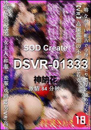 DSVR-01333Ѹ