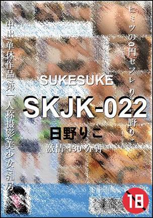 SKJK-022Ѹ