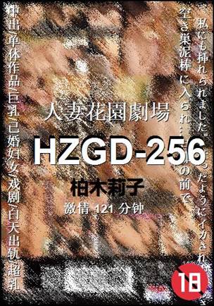 HZGD-256Ѹ