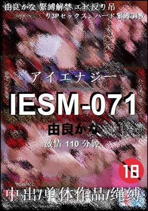 IESM-071BT