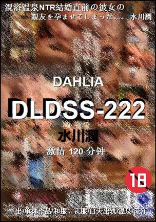 DLDSS-222Ѹ