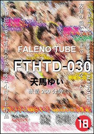 FTHTD-030Ѹ