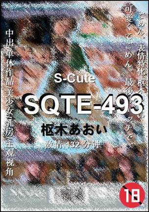 SQTE-493BT