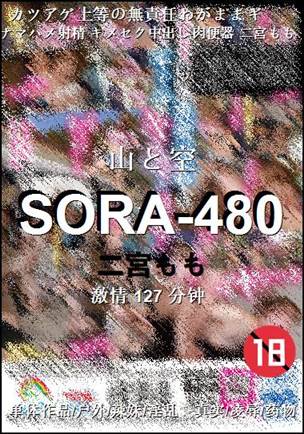 SORA-480BT