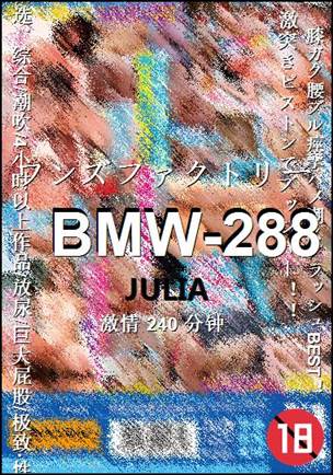 BMW-288Ѹ