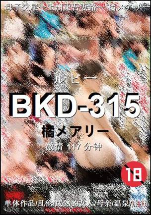 BKD-315Ѹ