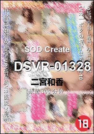 DSVR-01328BT