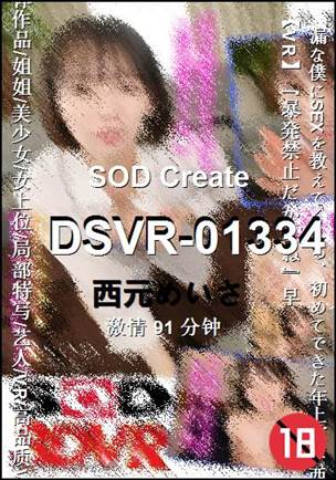 DSVR-01334BT