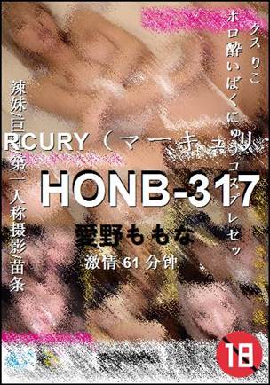 HONB-317BT