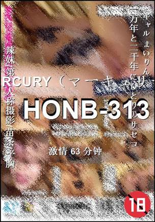 HONB-313Ѹ