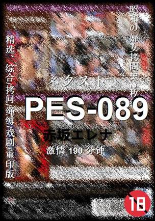 PES-089Ѹ