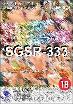 SGSR-333Ѹ