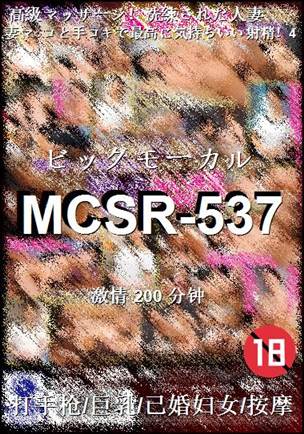 MCSR-537Ѹ