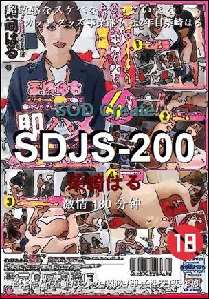 SDJS-200Ѹ