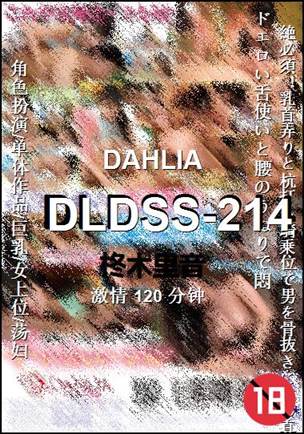 DLDSS-214BT