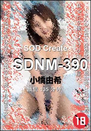 SDNM-390Ѹ