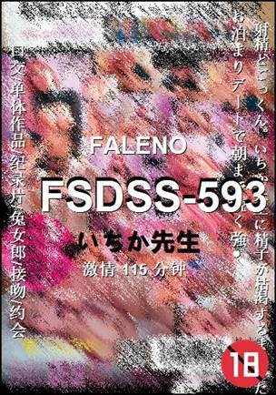 FSDSS-593BT