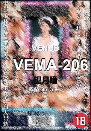 VEMA-206BT
