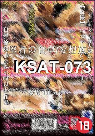 KSAT-073Ѹ