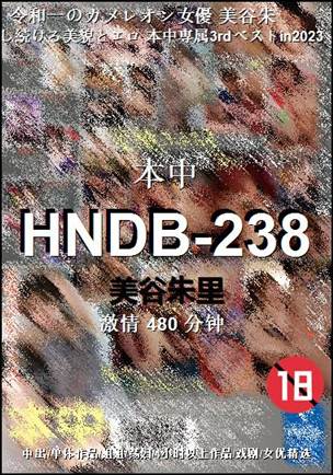 HNDB-238Ѹ