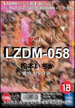 LZDM-058BT