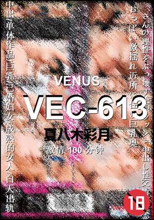 VEC-613Ѹ