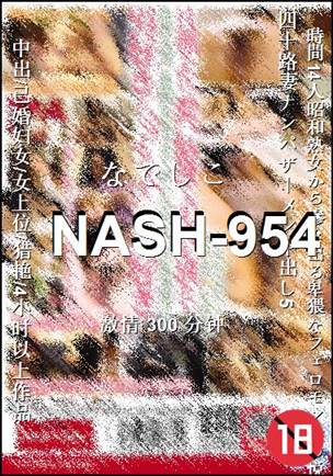 NASH-954BT