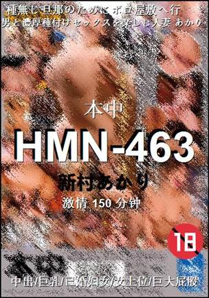 HMN-463Ѹ