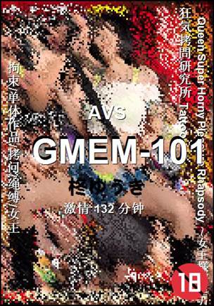 GMEM-101Ѹ