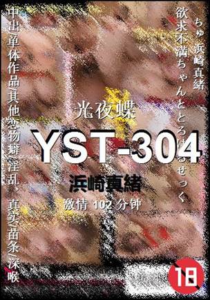 YST-304Ѹ