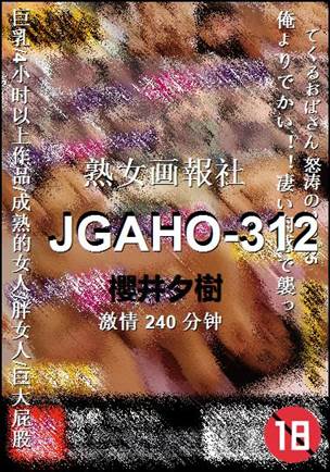 JGAHO-312Ѹ
