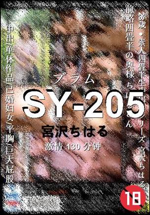 SY-205Ѹ