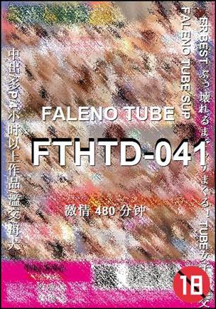 FTHTD-041BT