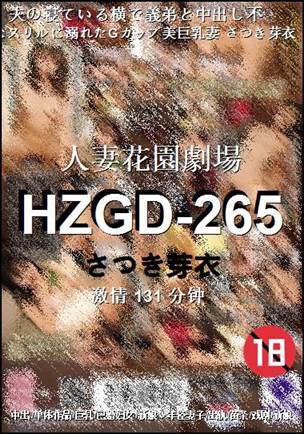 HZGD-265BT